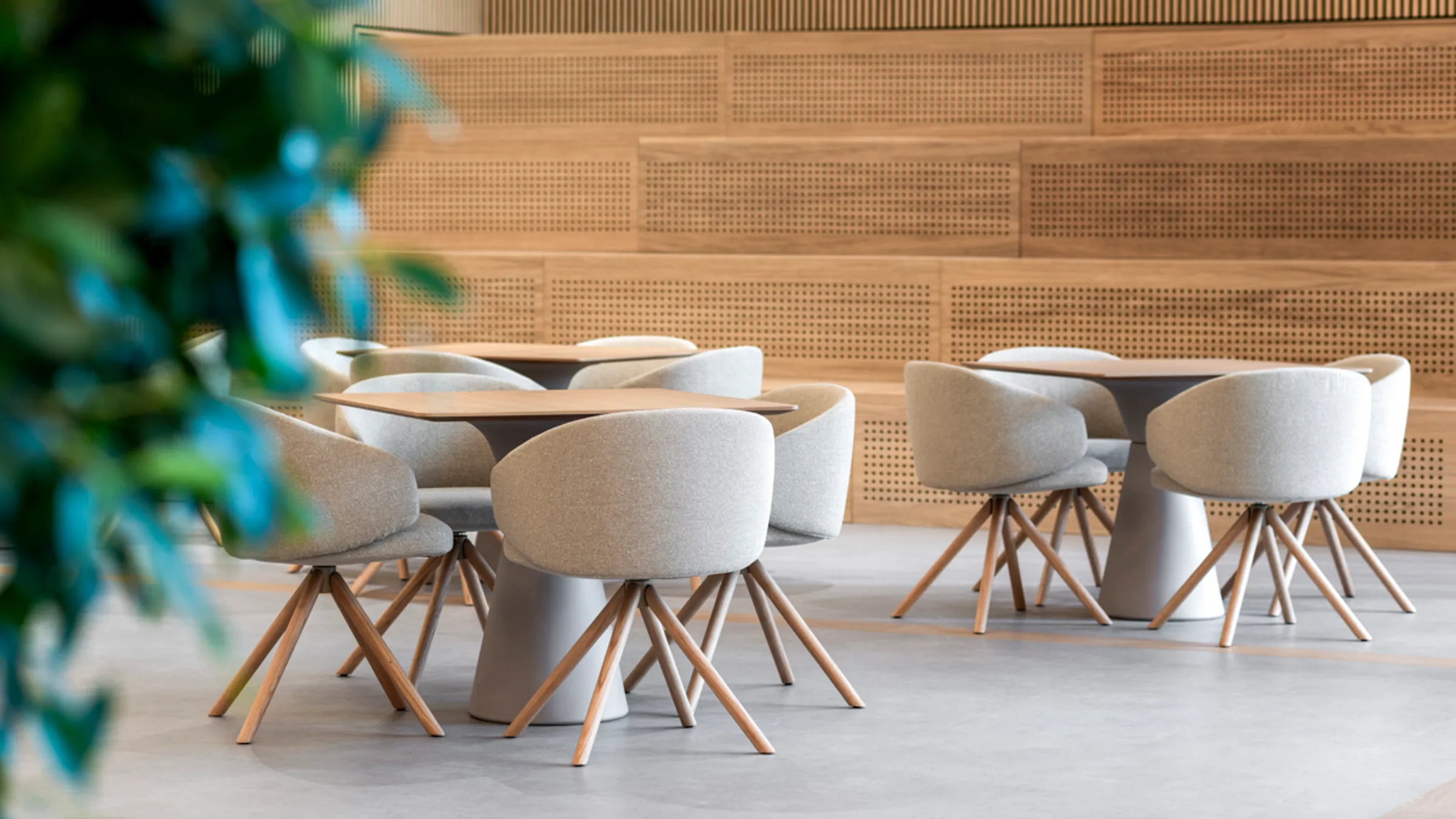 Area AA Office Curator SMALL 24